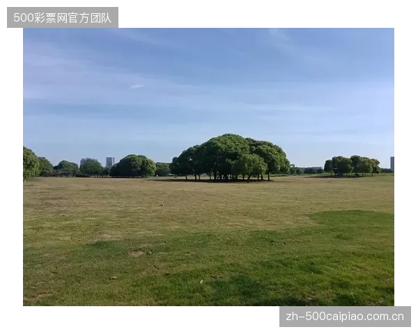 全球化赛事推动草坪技术演进:气候适应性已成为衡量混合草坪物理系统成功与否的核心技术指标 全球化赛事推动草坪技术演进:气候适应性已成为衡量混合草坪物理系统成功与否的核心技术指标
